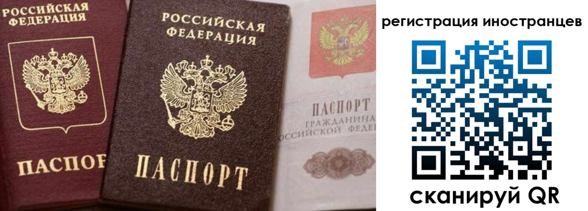 временная регистрация купить в Амурской области